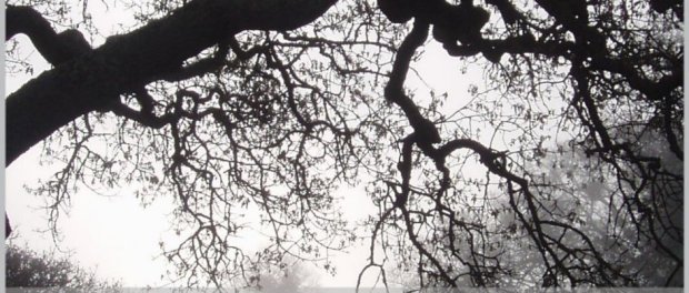 915Kp1hRGcL._SL1500_