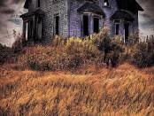 12794566_177393809315253_2230084735593304510_n